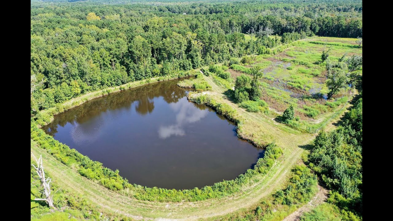 27-Acre Recreational Tract in Historic McClellanville | 660 Dupre Road