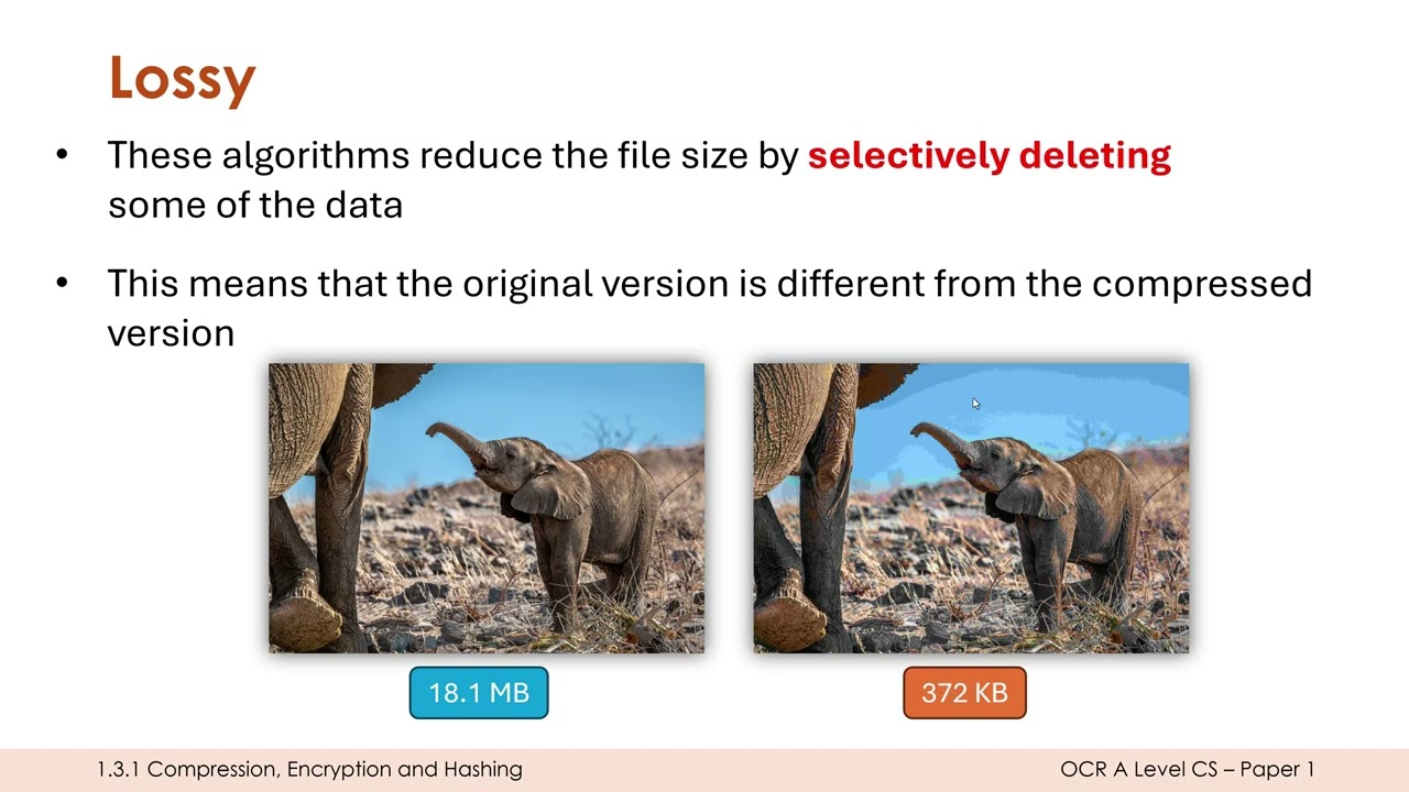 Lossy and Lossless Compression