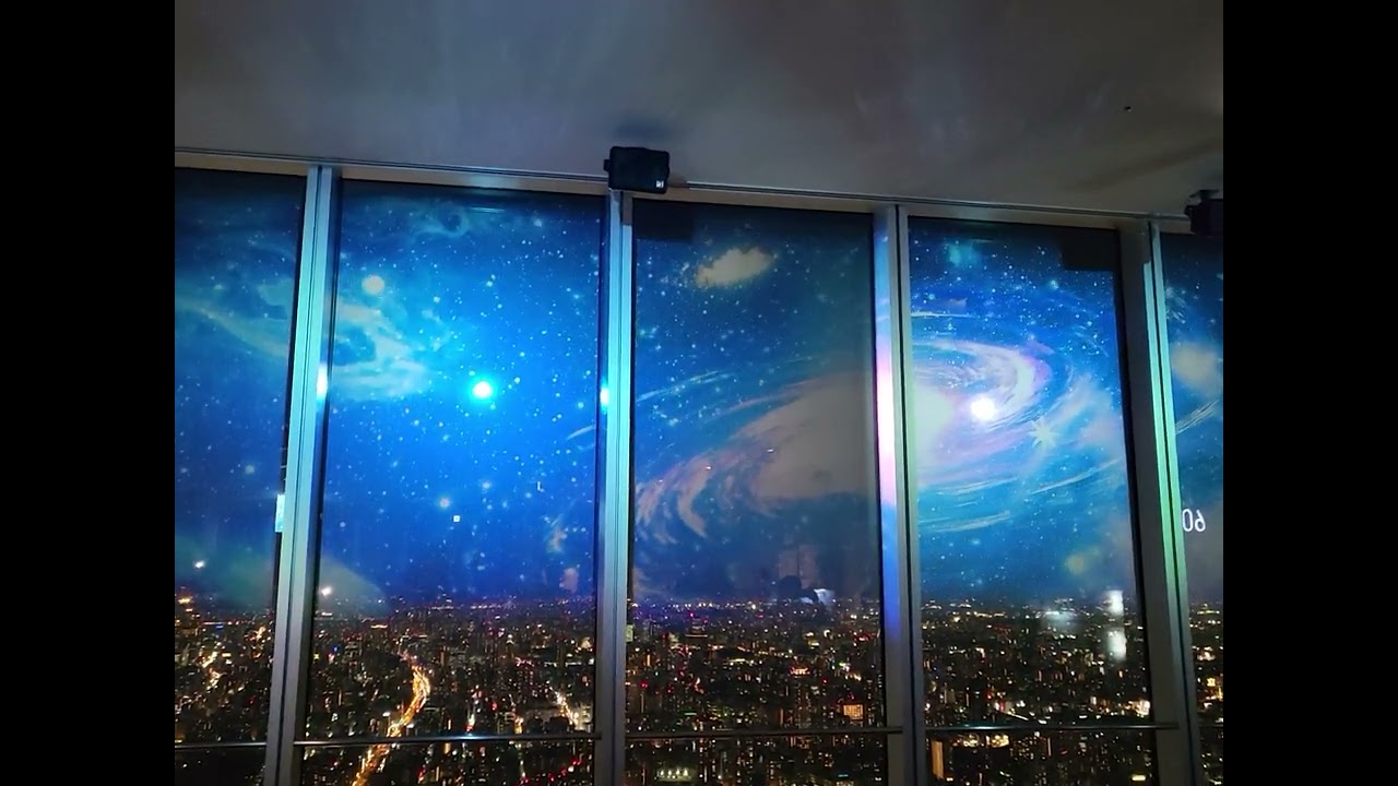 2026년 2월 26일
