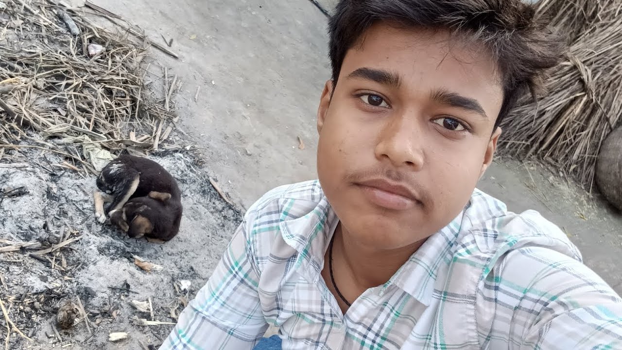 Dogs is my friend 😁🐕