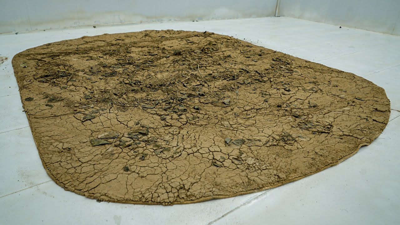 $15,000 Rug Found in Storage Room – Satisfying Luxury Carpet Cleaning ASMR