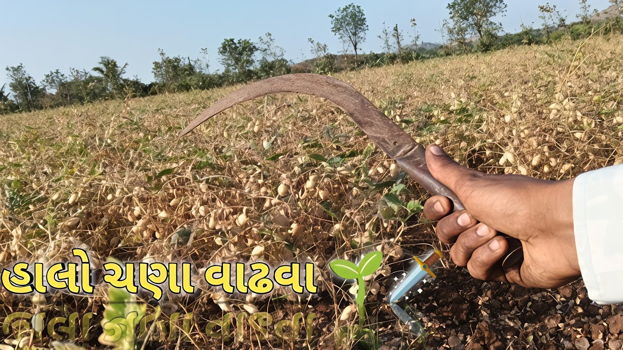 આવી જાવ બધા ફટાફટ વાતો કરીએ 😜