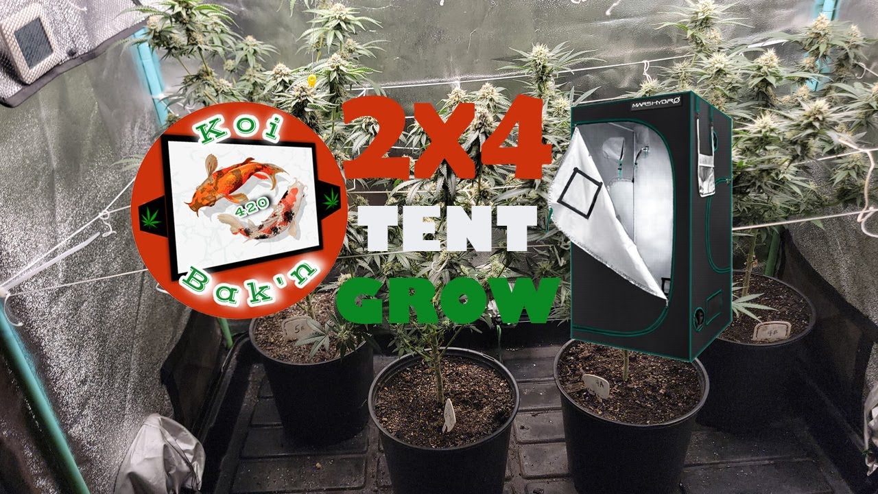 2X4 Tents | Season 3 Ep 2