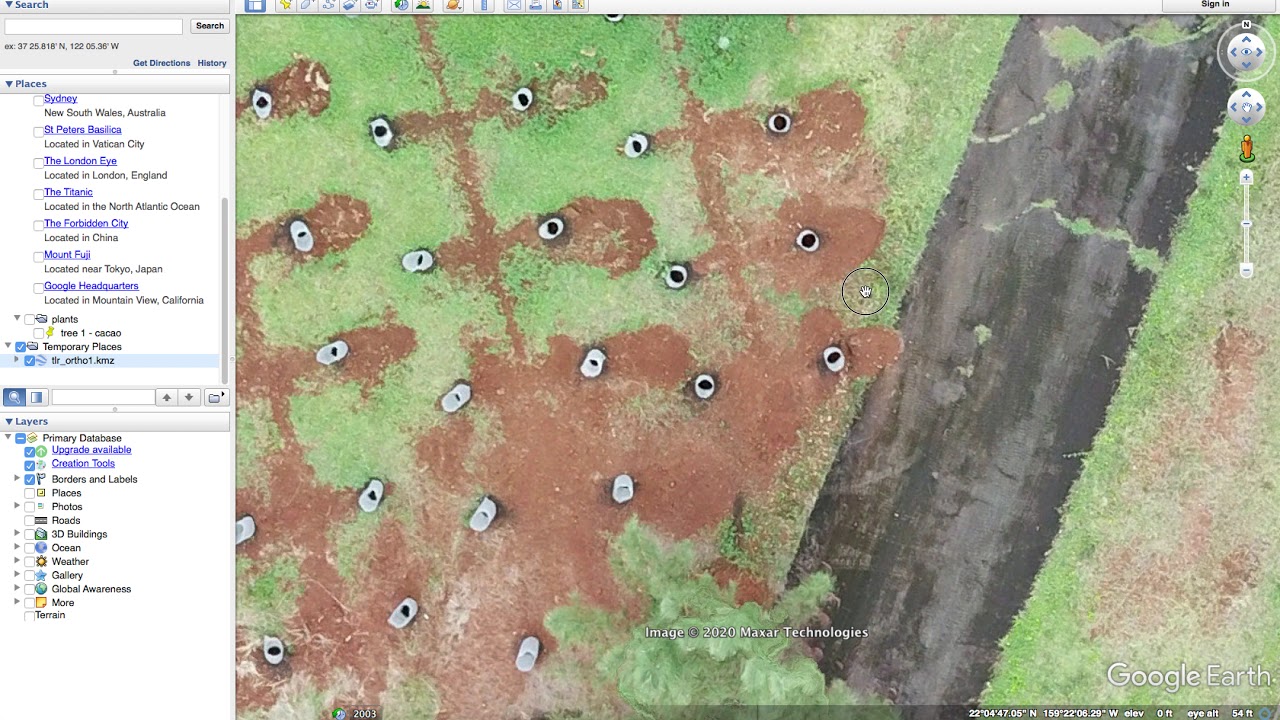 map trees with google earth
