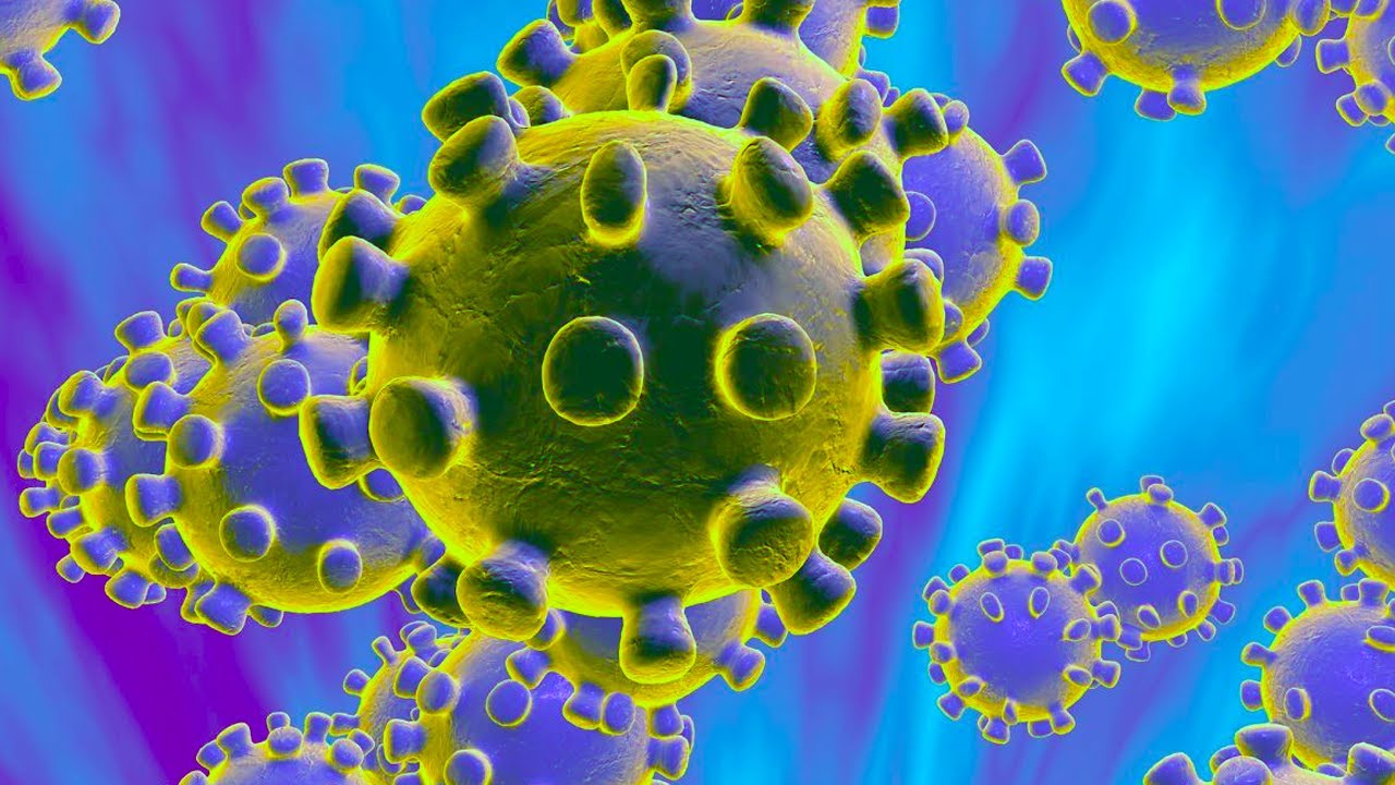 ¿Qué es el COVID - 19? (CORONAVIRUS)