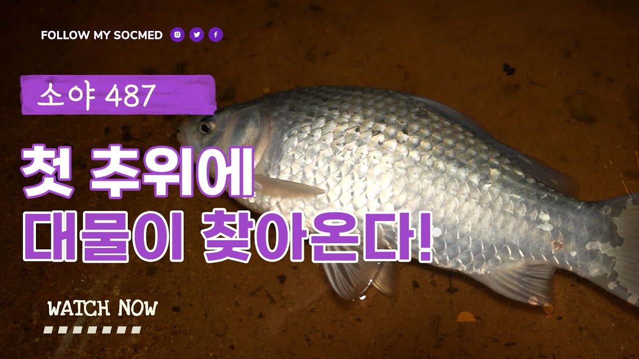 첫 추위에 대물이 찾아온다!