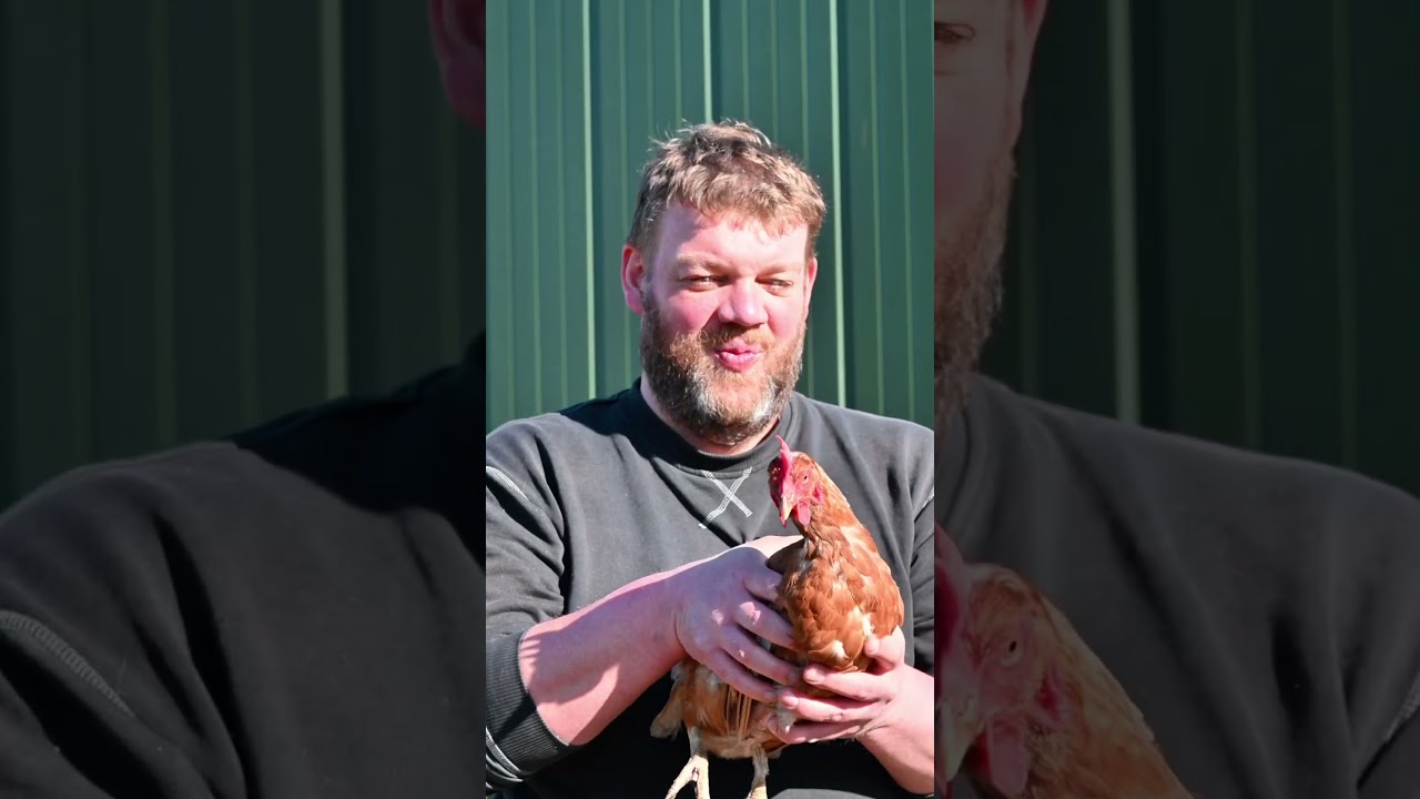 So hett Gott den Buurn makt&hellip; Wir w&uuml;nschen ein gesegnetes Erntedankfest #erntedank #teambarslund