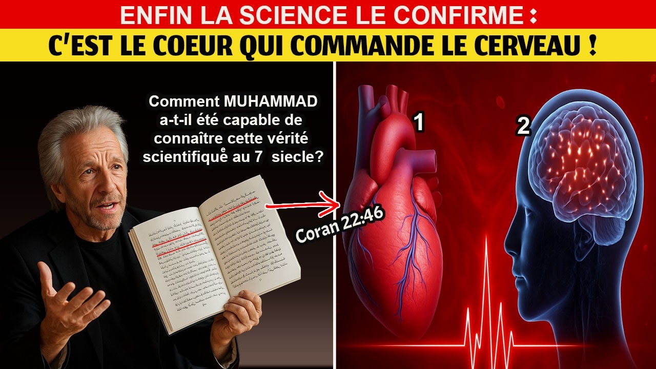 LE C&OElig;UR ou LE CERVEAU ? Qui contr&ocirc;le vraiment ? La r&eacute;ponse du Coran a boulevers&eacute; les scientifiques
