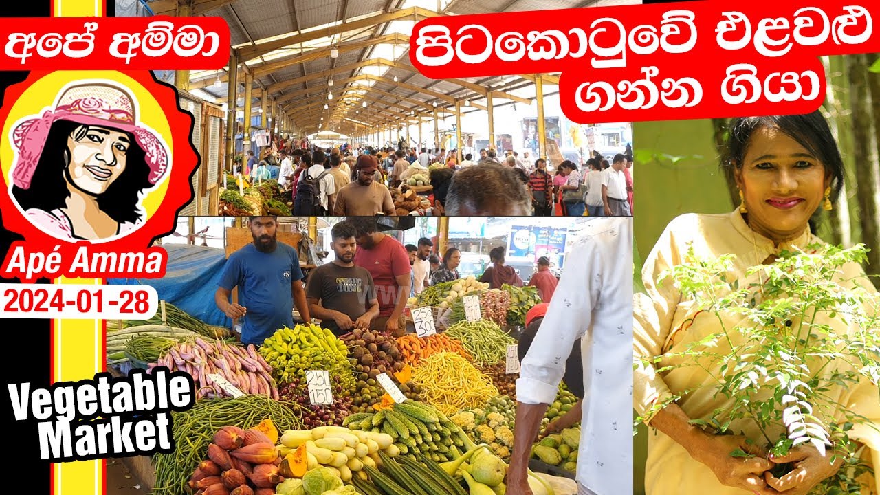✔ Ape Amma අපේ අම්මා‍ පිටකොටුවේ එළවළු ගන්න ගියා Pettah market Prices Colombo, Sri lanka by Apé Amma