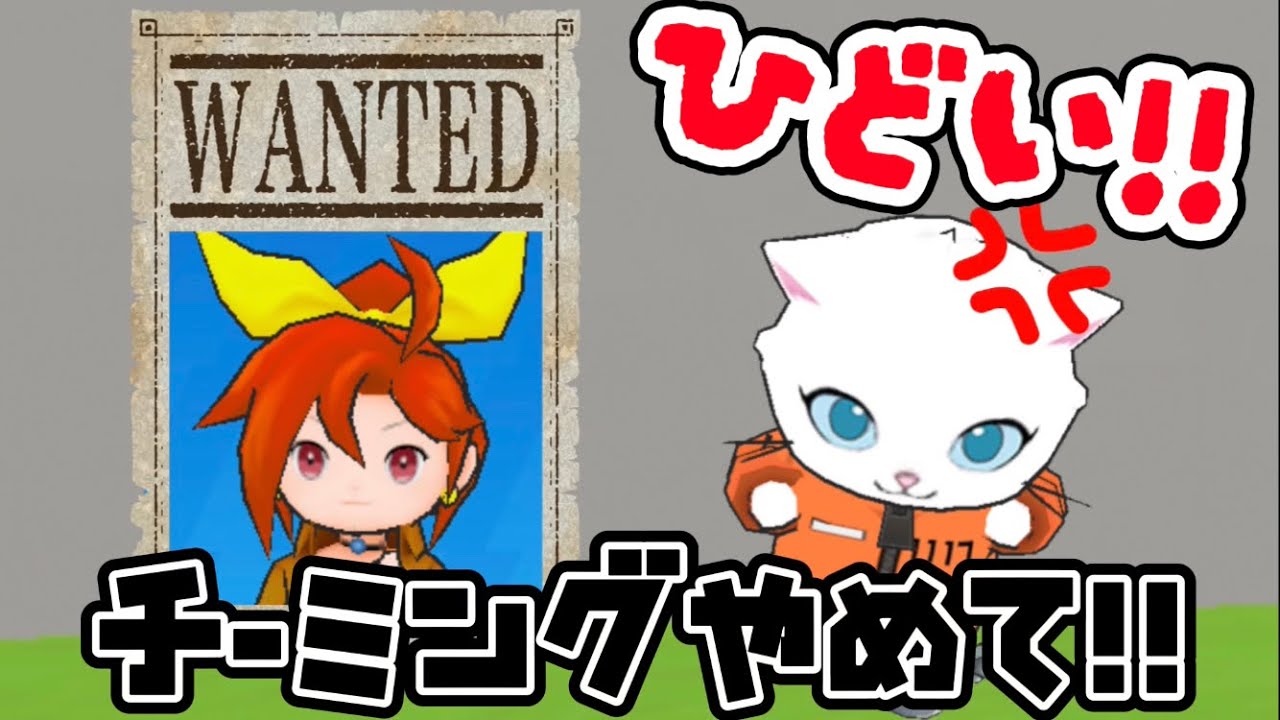 ひどすぎる‼️チーミングは許せない🔥【脱獄ごっこpro】