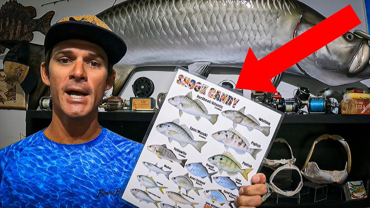 Best Fishing Baits! - SNOOK CANDY!