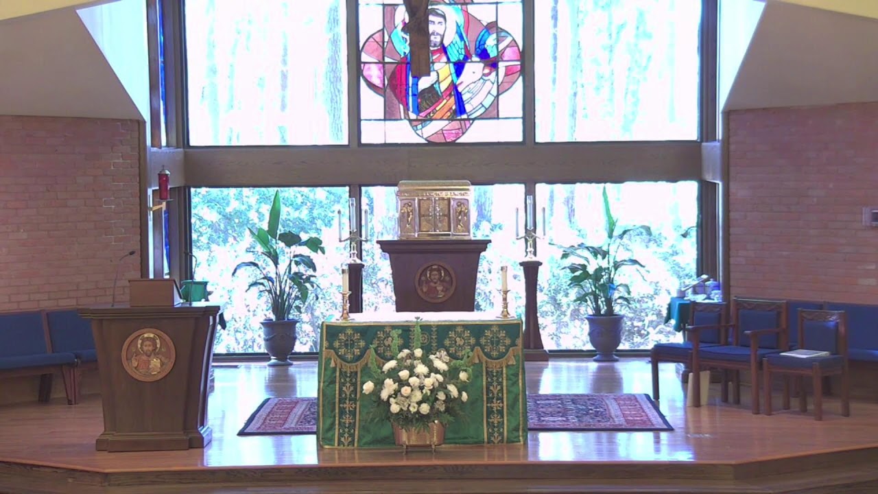 The Holy Mass at Saint Luke - January 18, 2026
