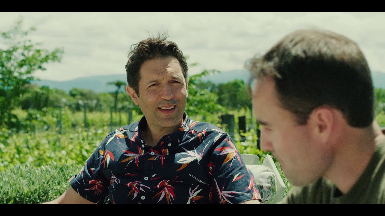 Taste, drink and explore your way around Wellington | Gourmet Traveller