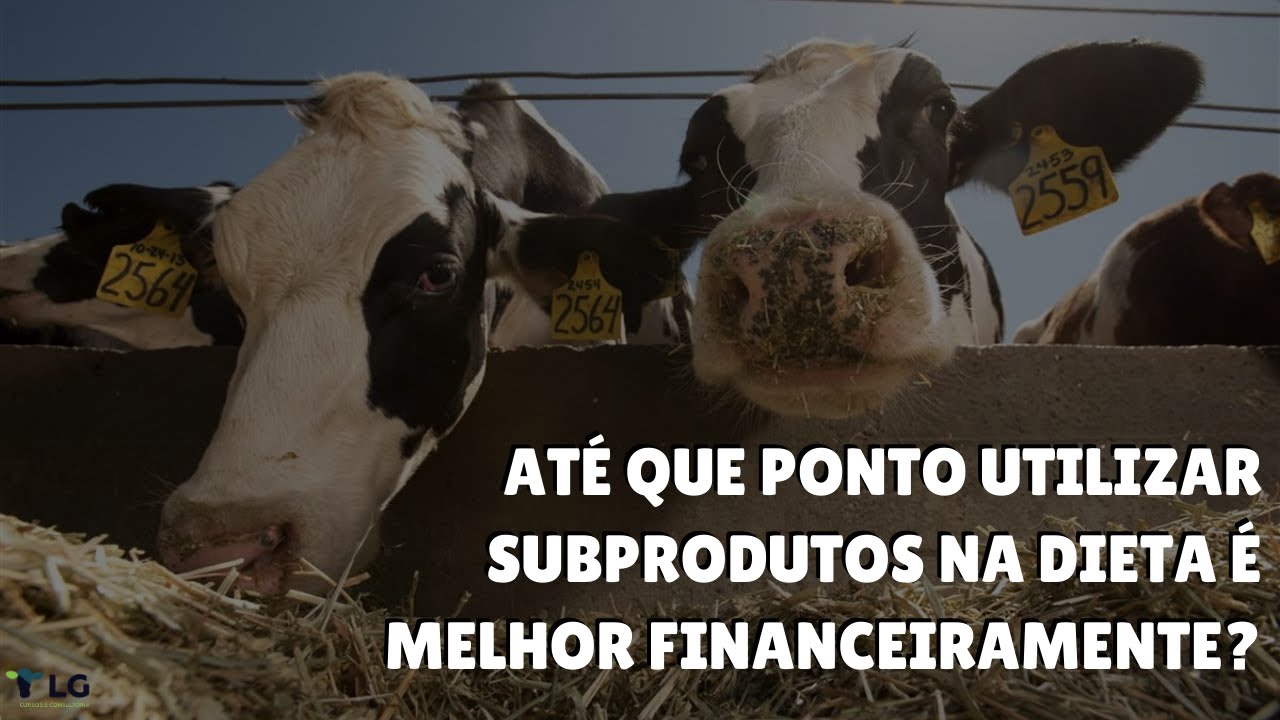At&eacute; que ponto utilizar subprodutos na dieta &eacute; melhor financeiramente?