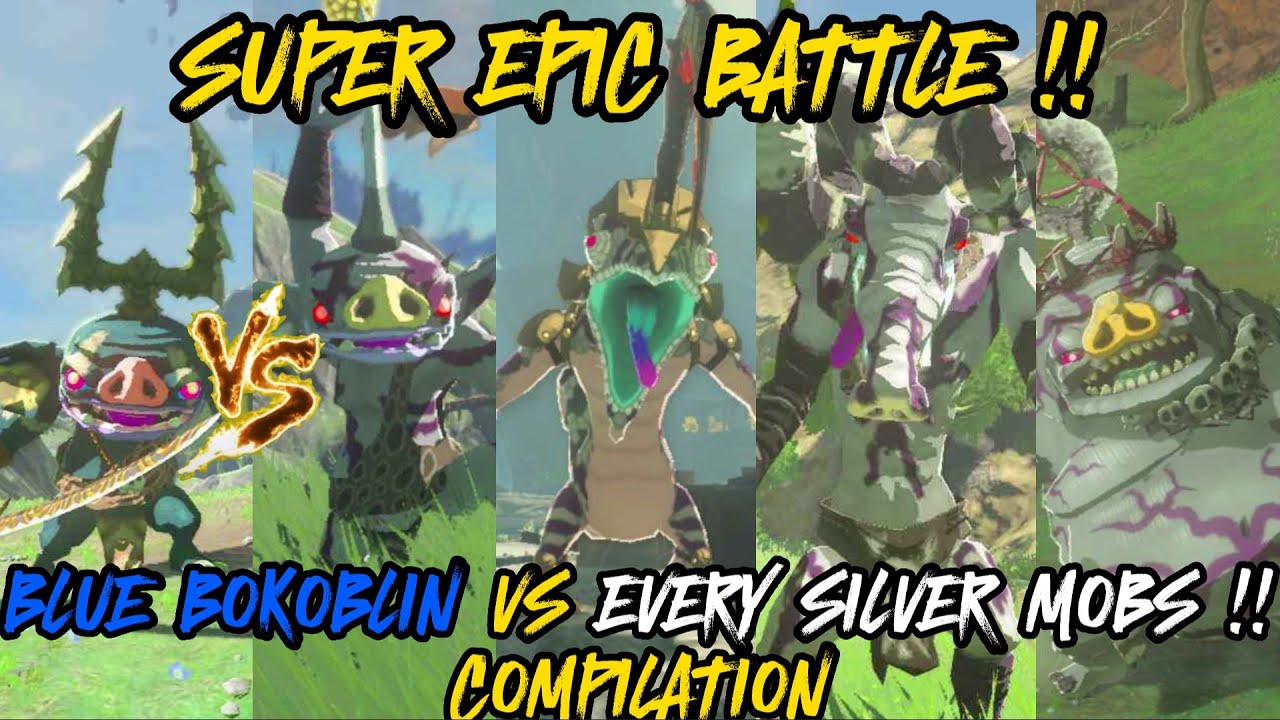 BLUE BOKOBLIN VS EVERY SILVER MOBS !! COMPILATION ! (The Legend of Zelda: Tears of the Kingdom)