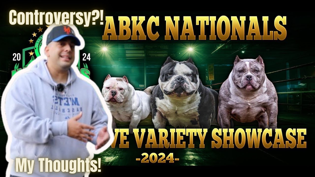ABKC Did What? | American Bully | Controversy? | Let's Talk About It