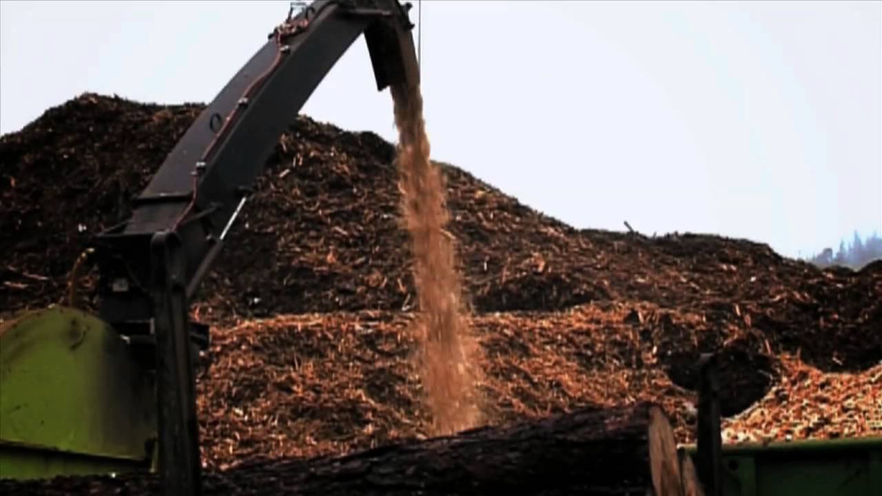 Bioenergie