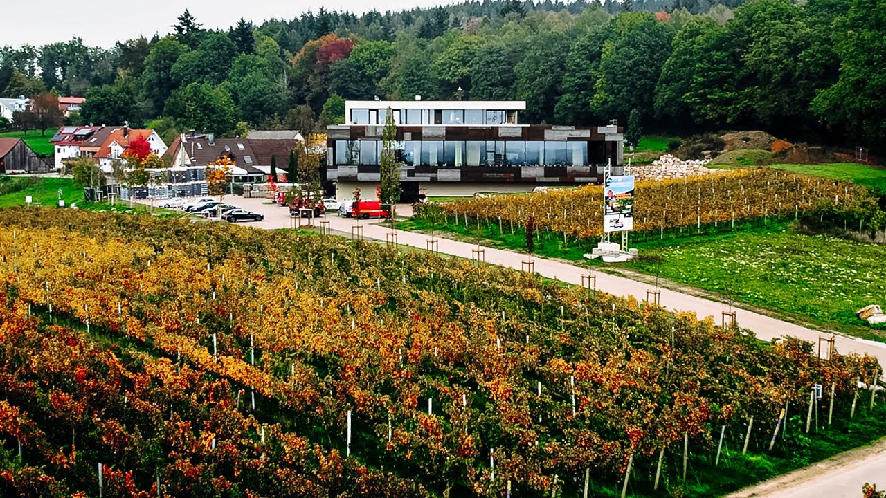 Symbiose von Wein, Gastronomie und Architektur: Neubau Weingut Kopp