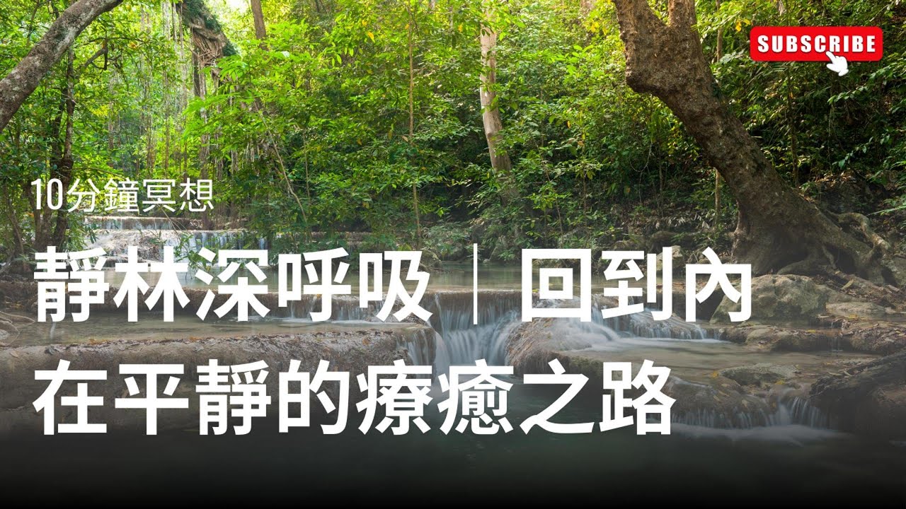 【10分鐘冥想】靜林深呼吸｜回到內在平靜的療癒之路