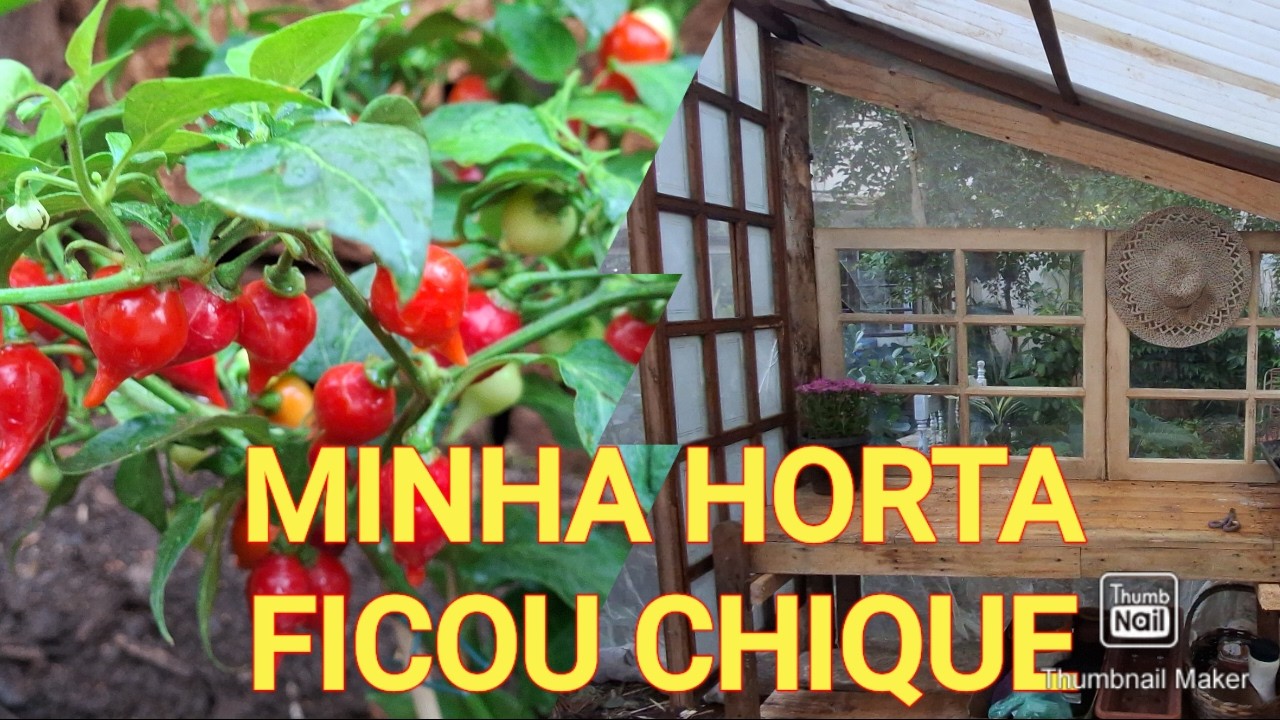TERMINEI A MINHA HORTA