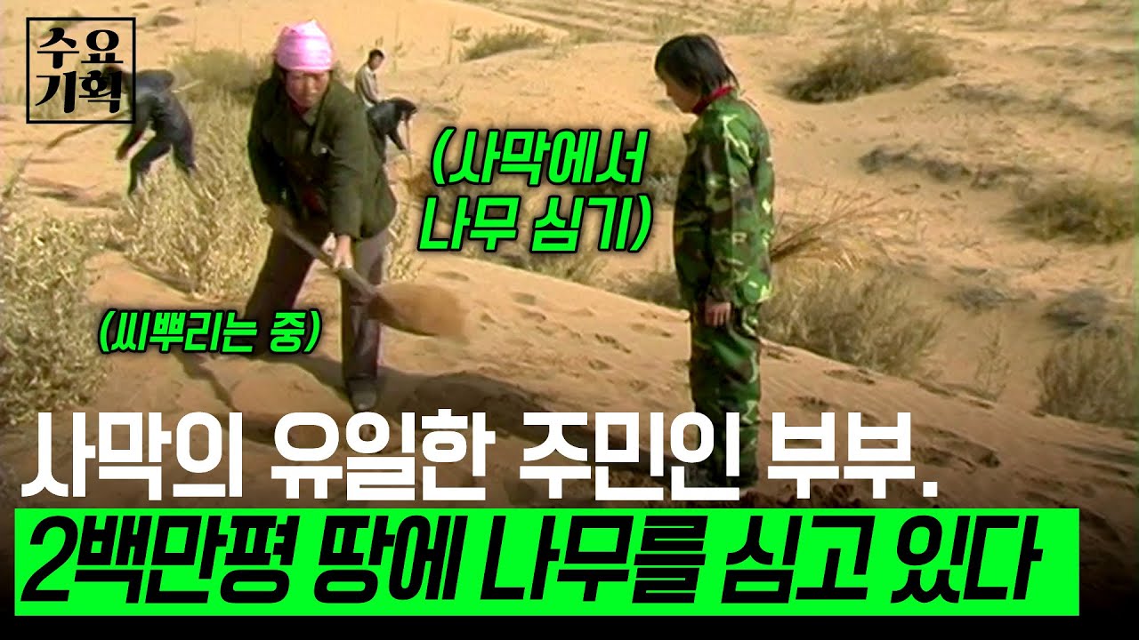 [수요기획] 생존을 위협할 정도의 모래바람 속에 살고 있는 한 부부. 오로지 살기 위해 200만평을 임대받아 나무를 심고 있다ㅣKBS 2006.04.05