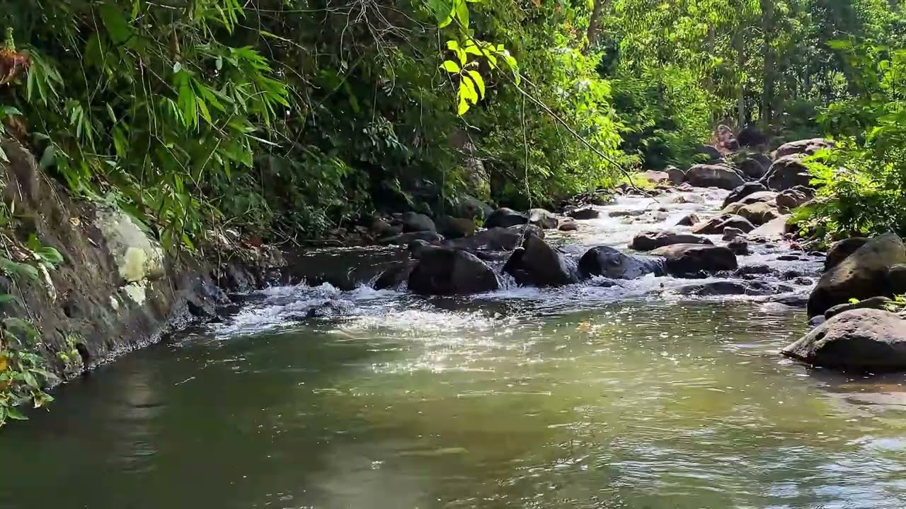 🌊 Deep Sleep White Noise 🍃 Natural River Flow In Lush Green Forest