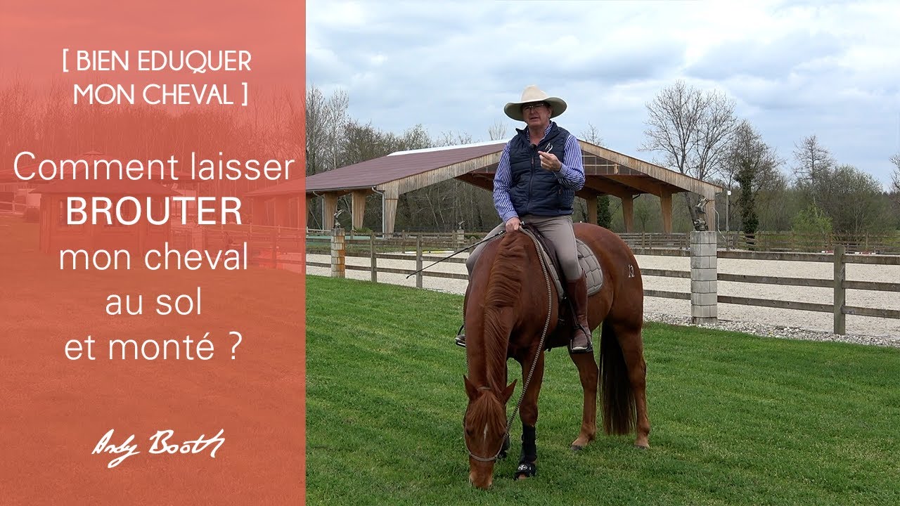 [EDUCATION] Comment laisser brouter mon cheval au sol et monté ?