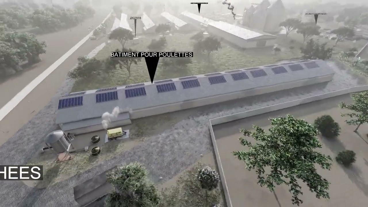 Ferme pour pondeuses de Gade Gui