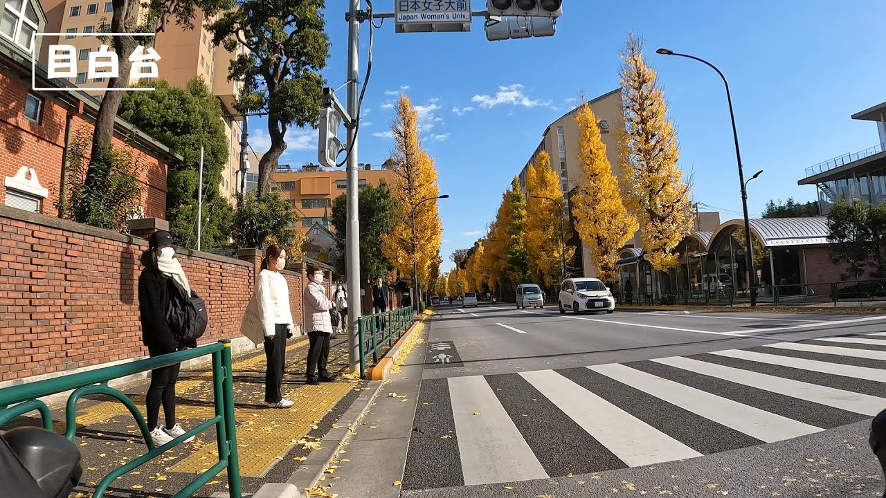 高低差は自転車で 目白通り 2025.12.5