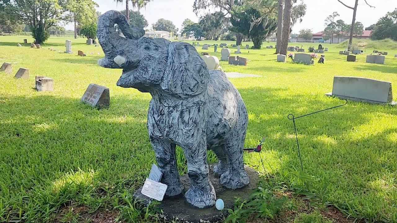 Astatula Cemetery 8/2/23. Ricks Random Roadside video 27. *See Description