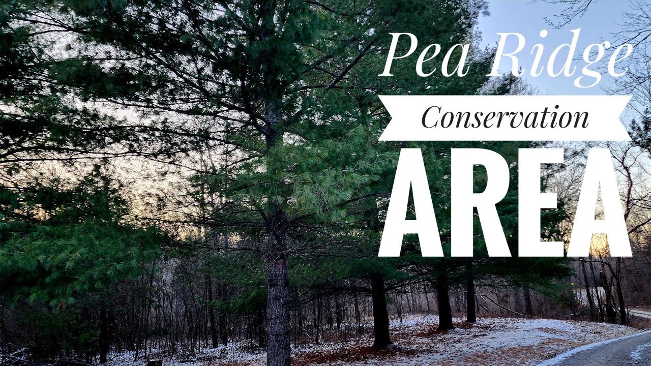 Free Camping in Missouri: Pea Ridge Conservation Area review