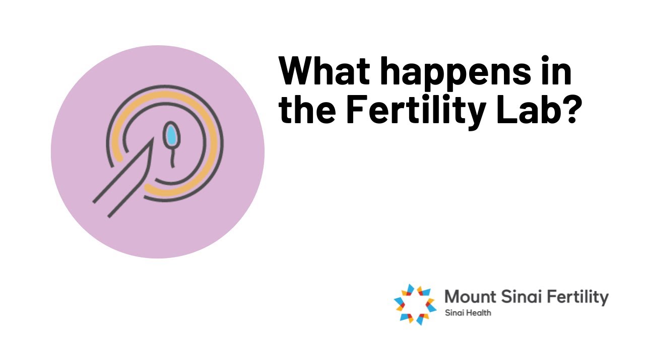 What happens in the Fertility Lab