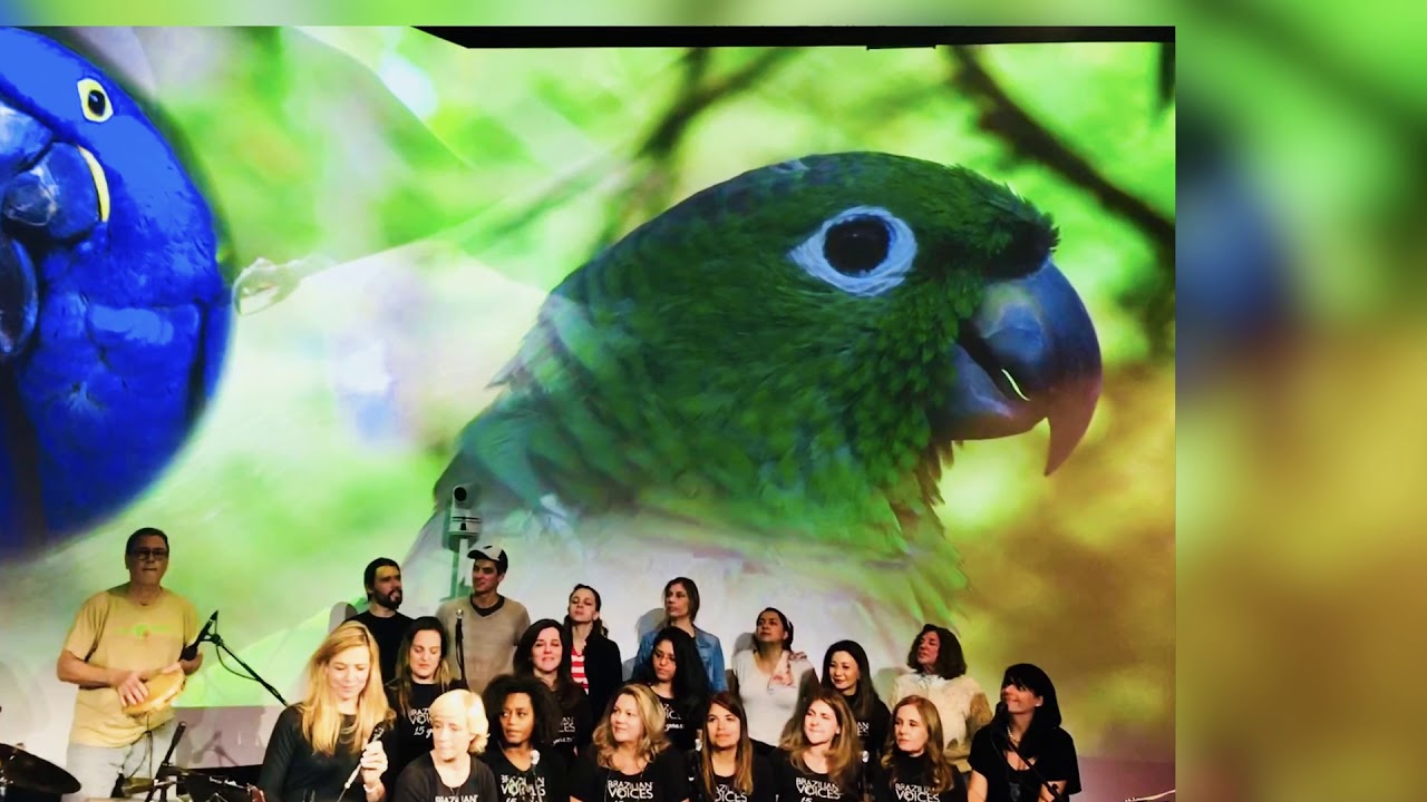 Brazilian Voices Concert Amazonas - A tribute to Amaz&ocirc;nia