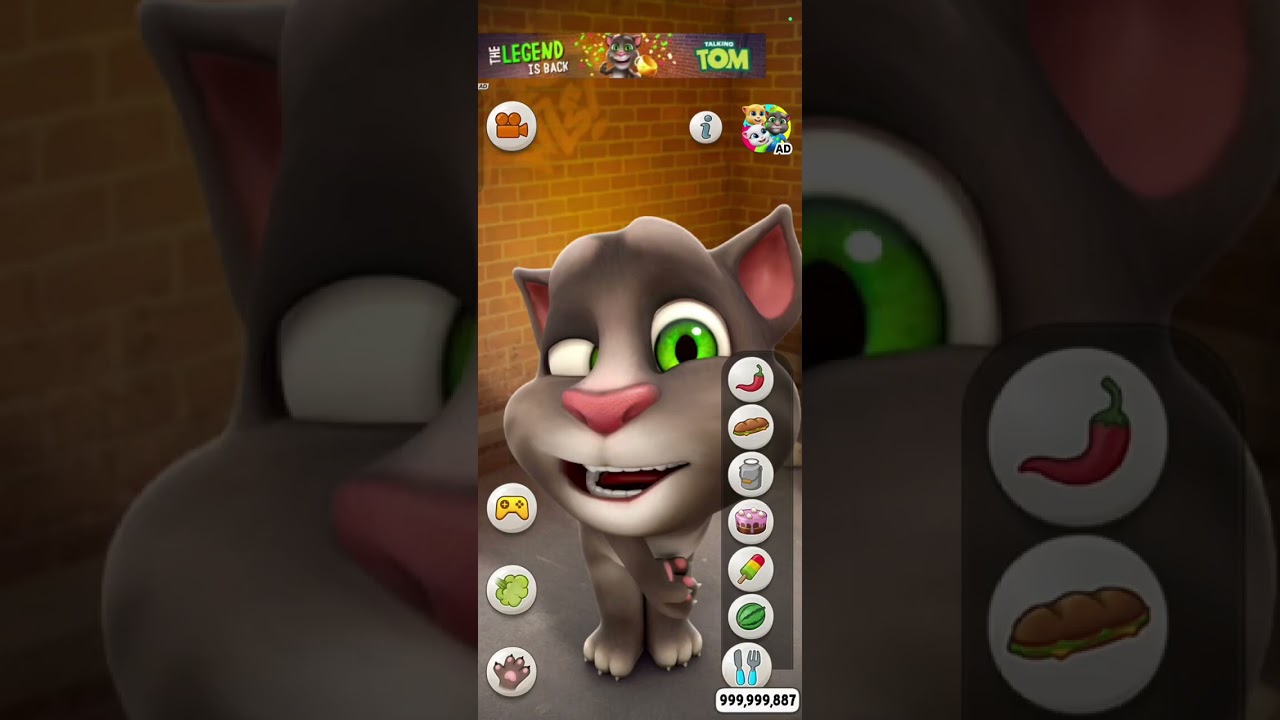 Talking Tom cat 