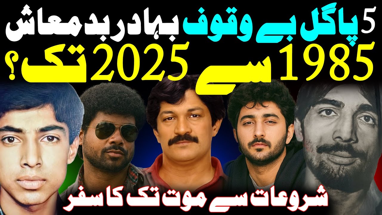 5 Don Bala Gaddi, Asad Prince, Raees Kalia, Zahid Urf Zada, Rizwan Urf Patto Khan || Shaan Pakistan