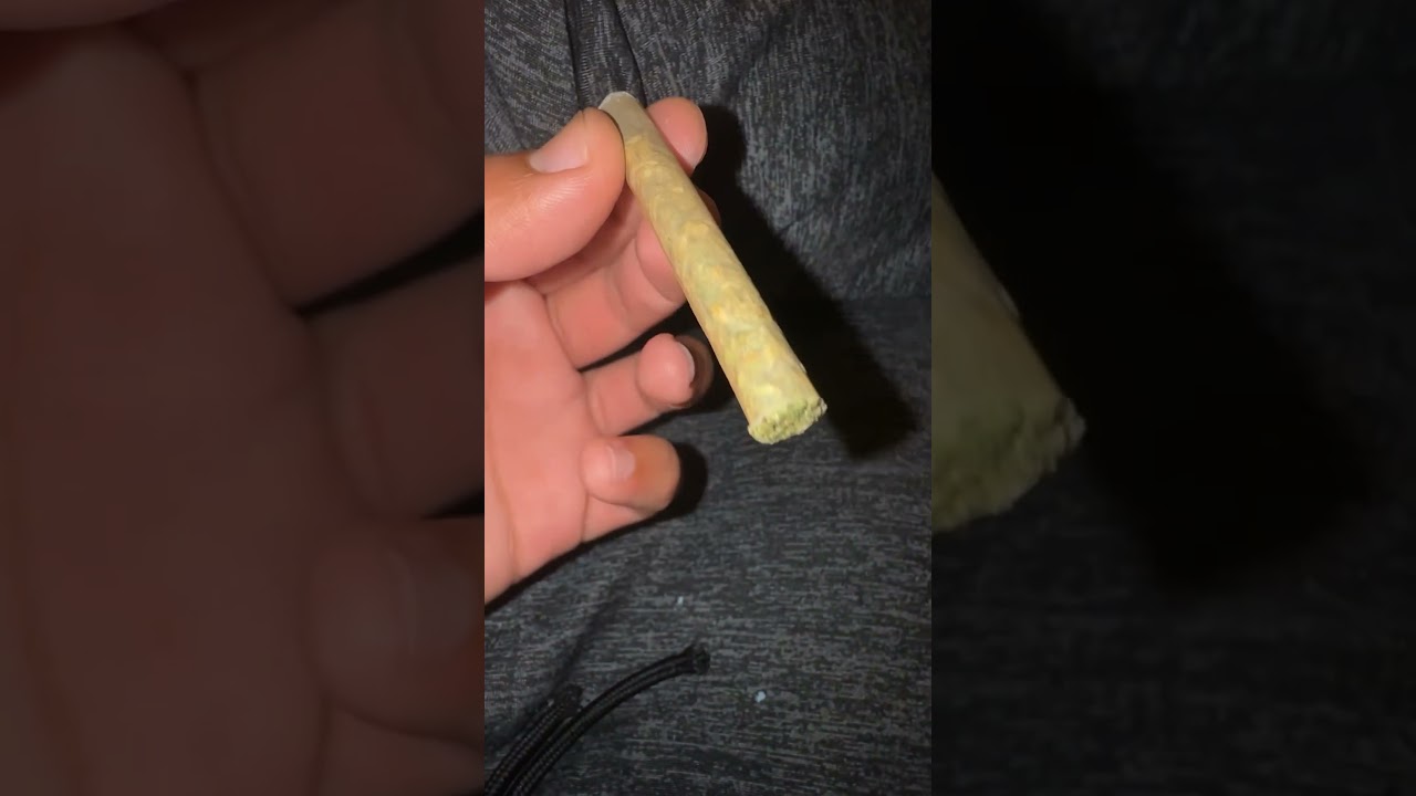 GG4 preroll 💨🔥 #reggae #weedcommunity #marijuananews