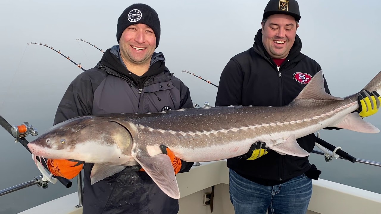 Sturgeon Fishing Charter | San Francisco Bay | California Delta