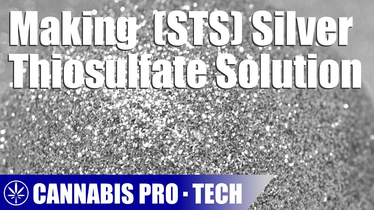 How to Make Silver Thiosulfate Solution to Produce Femenized Seeds