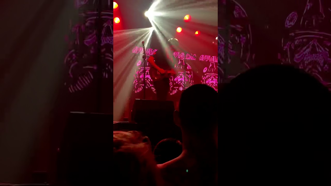 AudioEcho - Like A Stone (Guitar Solo) LIVE (Revolution Live) 1/3/20