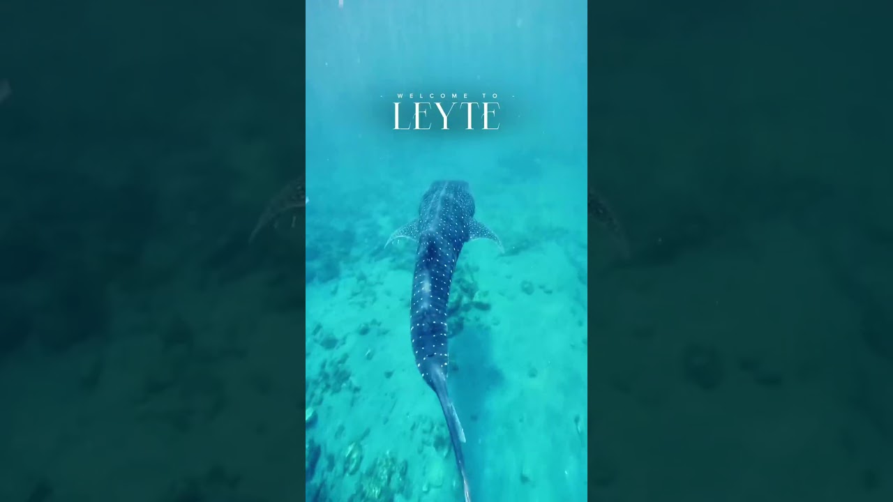 This is your sign to visit Leyte in the Philippines! ✨🇵🇭 #travel #pinas