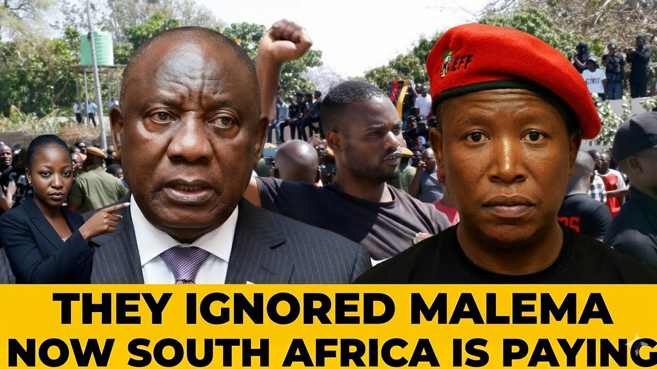 Julius Malema Exposes The Truth Behind South Africa's Xenophobia
