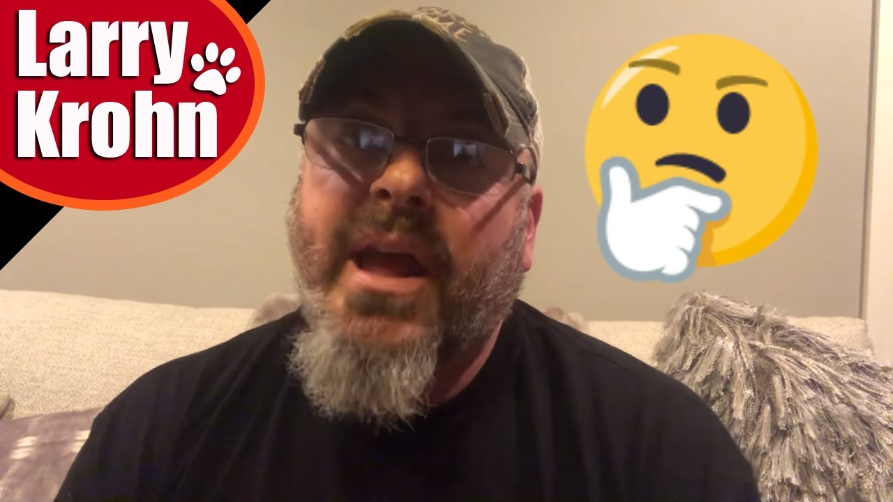 How our reactions influence our dogs