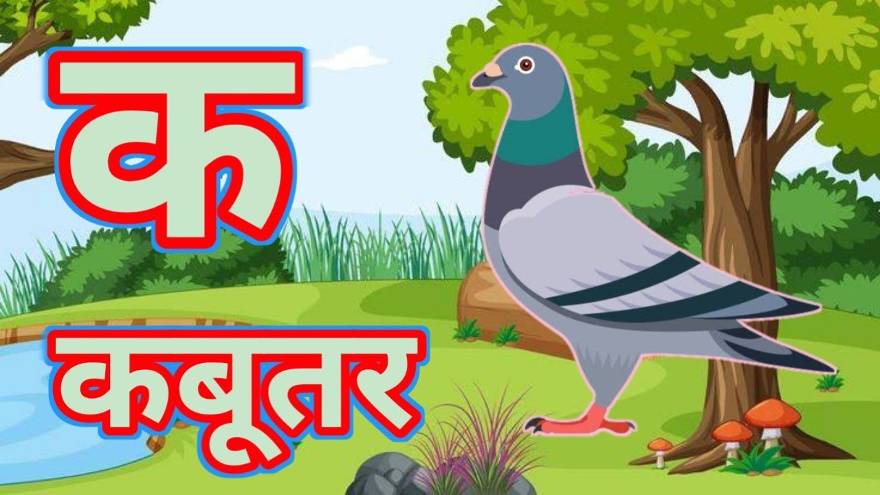 अ से अनार आ से आम, a se anar bade aa se aam ,k se kabooter ,kh se khargosh, क से कबूतर,ABCd