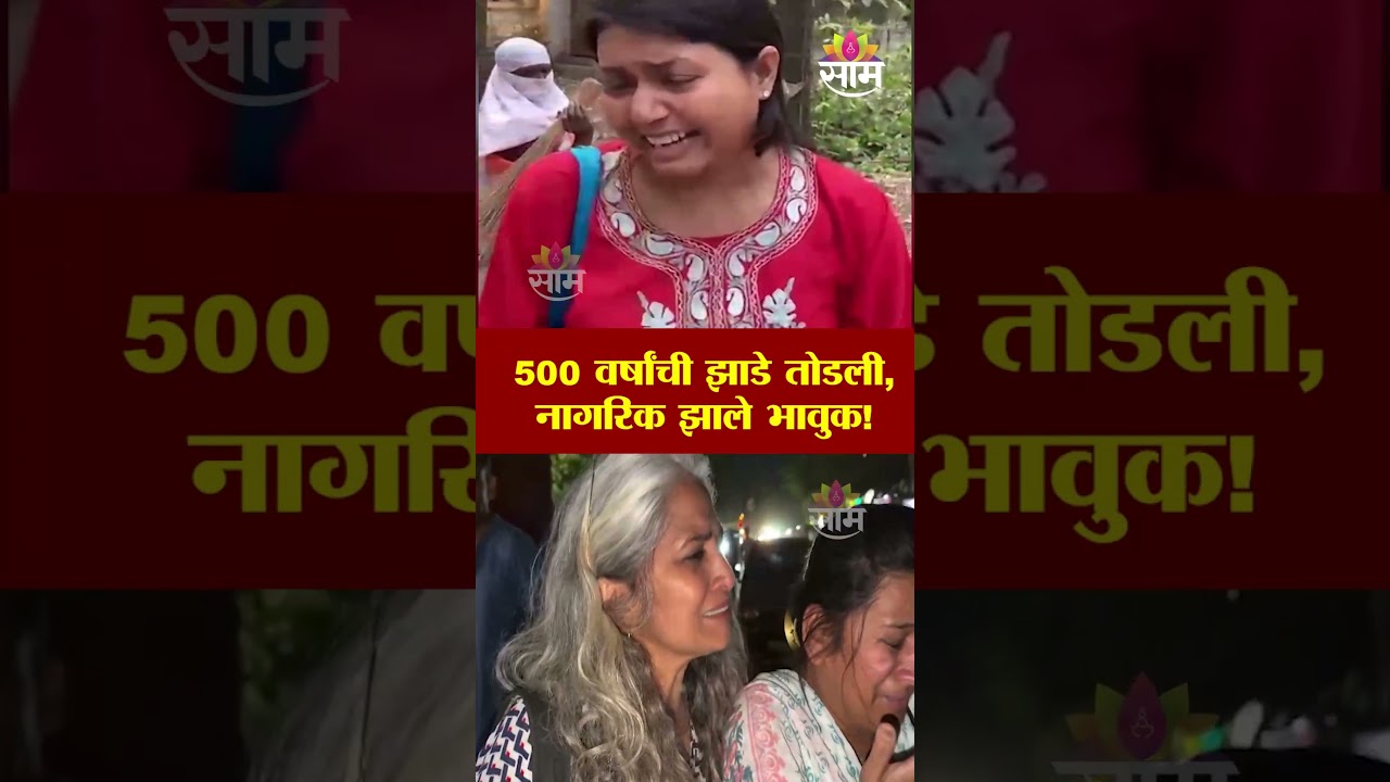 500 वर्षांची झाडे तोडली ,  नागरिक झाले भावुक! |nashik news| Gangapur road nashik