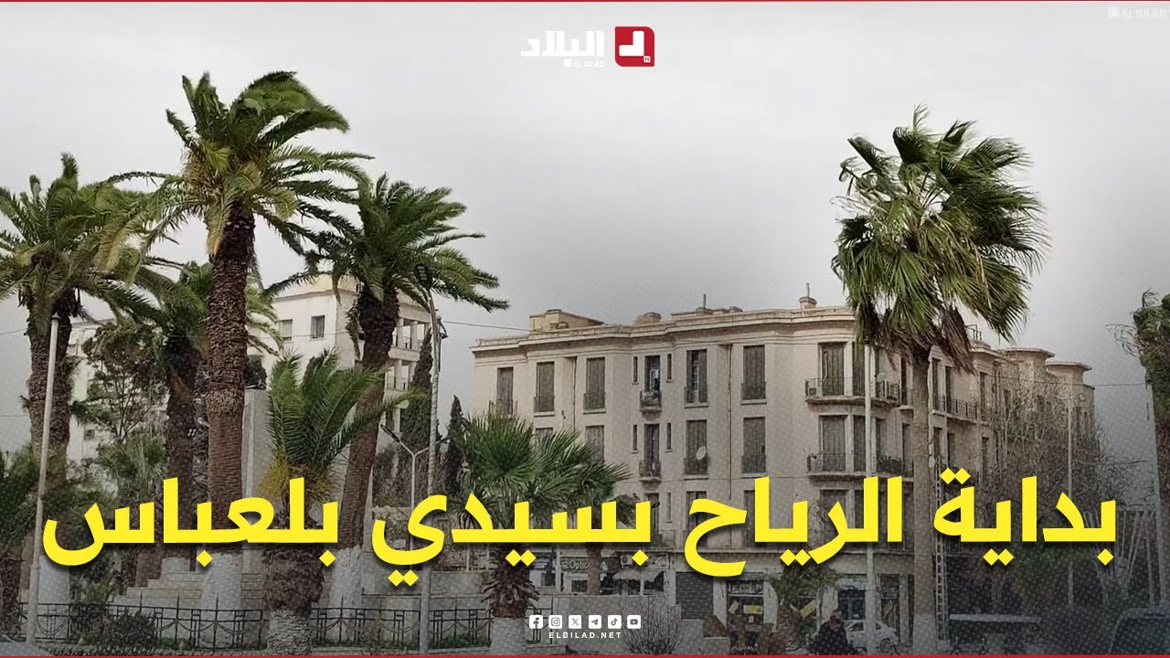 #مشاهد لـ بداية #هبوب_الرياح بولاية #سيدي_بلعباس.. #شاهد