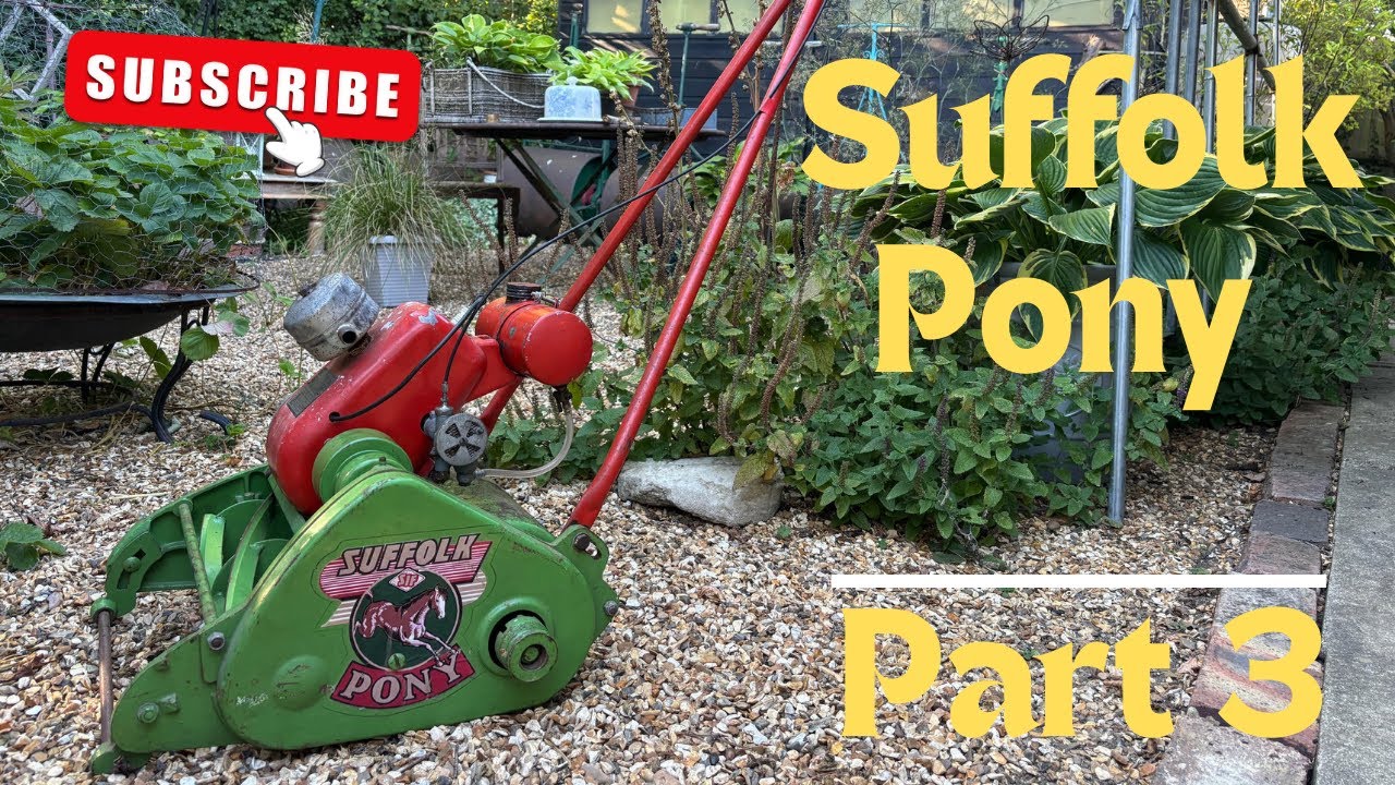 Suffolk Pony Part 3