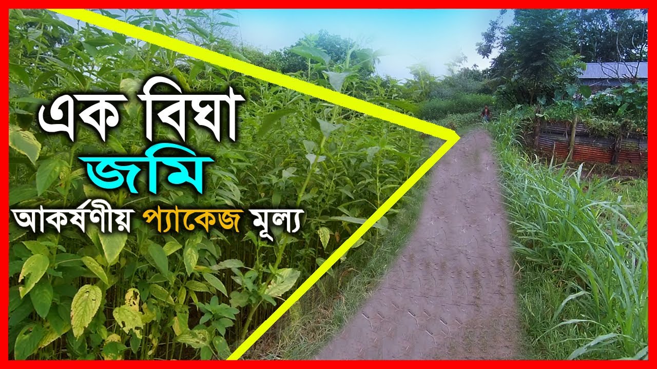 One bigha of land for sale for urgent need | Property dot com