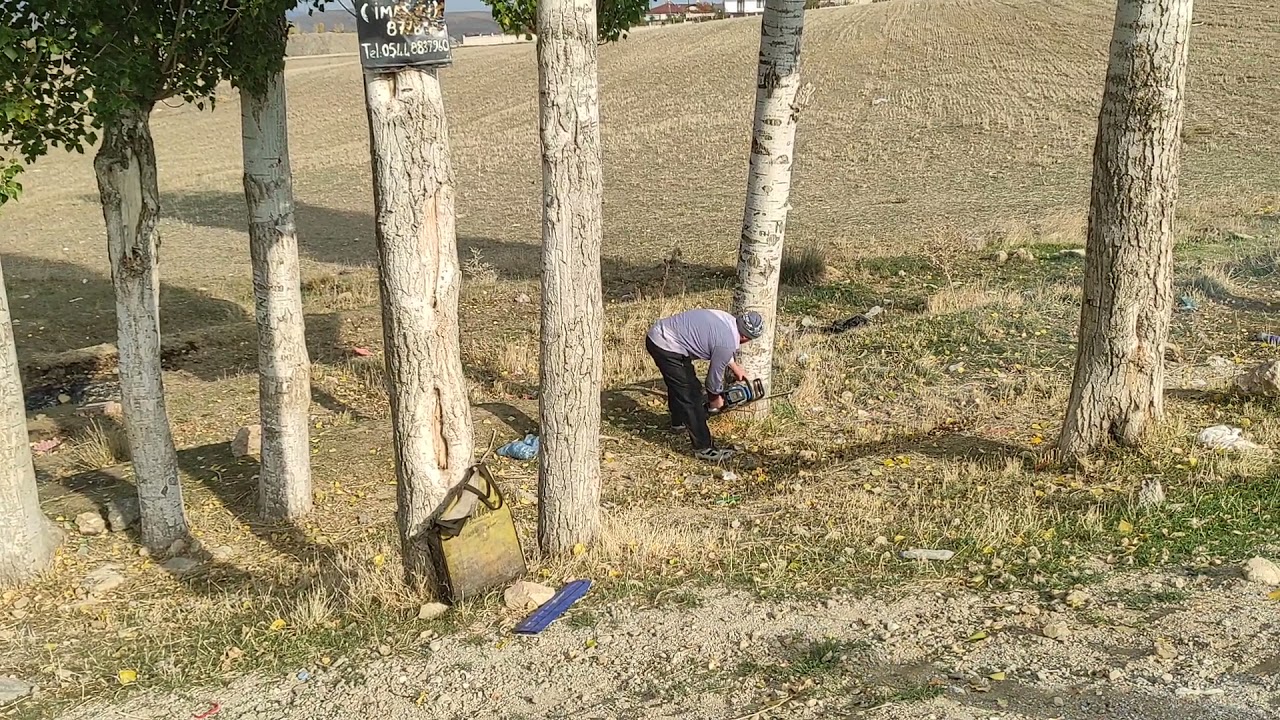 kavak kesimi #hızar #kereste #yozgat #sorgun