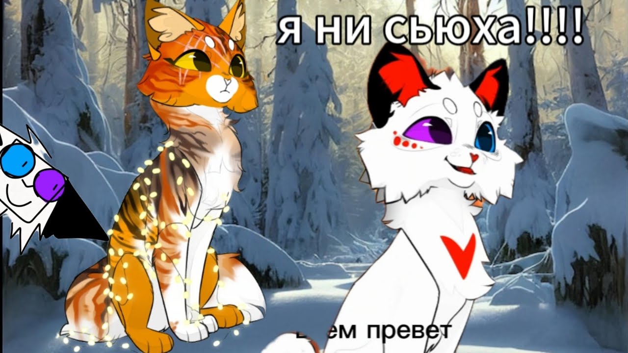 Реакция на @KrasnogrudkaKv боже это так смешно🤣🤣🤣🤣