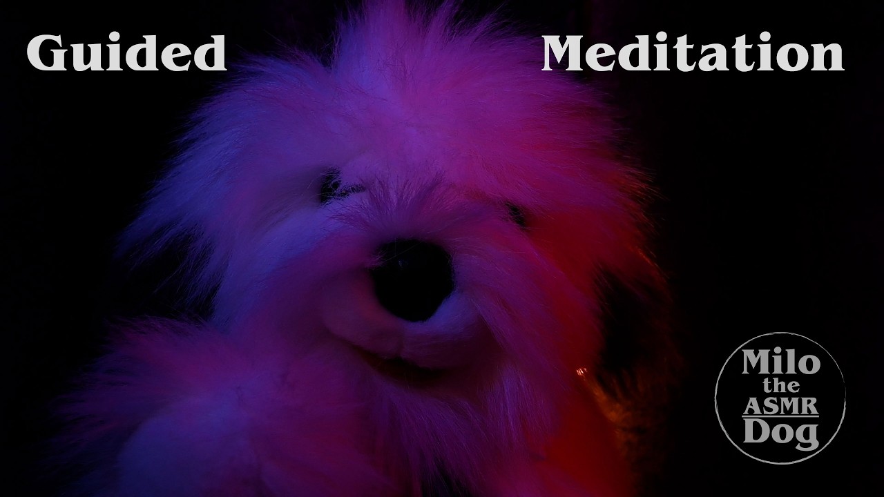 ASMR Guided Meditation - Deep Relaxation to Help You Sleep